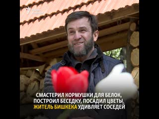 porn смастерил кормушки для белок построил беседку посадил цветы житель бишкека удивляет соседей hd