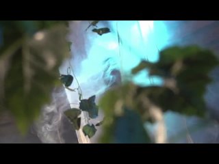porn пелена эротическое видео и стриптиз на candytv eu hd