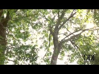 porn эротика секс на качелях с фаллоимитатором девчушка ничего hd