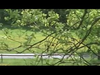porn никогда не вытирай слезы без перчаток 2 серия hd