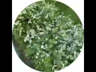 porn наконец то лето наступило из параллельной реальности там где все хорошо rtrdonetsk t medonbassinfograd hd