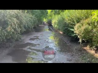 porn видеоуровень воды упал на 6 7м в новой кахое за сутки уровень воды в новой кахое стал заметно меньше команда wargonzo hd
