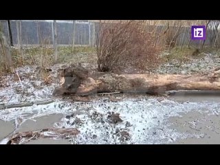 porn шторм на юге россии в крыму краснодарском крае и других регионах бушует стихия мощнейший циклон обрушился на hd