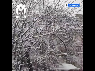 porn наконец то до донецка добралась нормальная зима такой новогодний вайб сейчас царит в столице республики правда hd