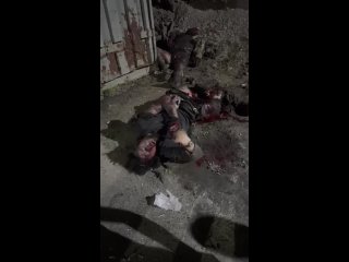 porn в карачаево черкесии произошло нападение на пост дпс на трассе в поселке мара аягъы по имеющейся информации в ходе hd