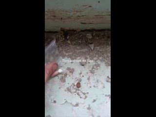 porn подразделение всу сдалось в волчанске ожесточённые бои в городе в харьковской области продолжаются t mervvoenkor t hd