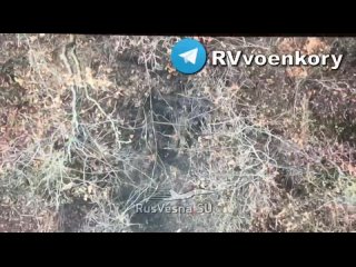 porn молодые провал наступления всу в приграничье харьковской области идут бои танки бмп ббм и пикапы с пехотой всу трет hd