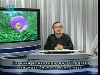 porn природные лекарства фитотерапия часть 2 урок 2 лекарственные растения влияющие на нервную систему hd