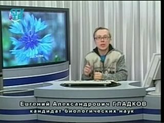 porn природные лекарства фитотерапия часть 3 урок 1 фитотерапия и сердечно сосудистые заболевания растения обладающие hd