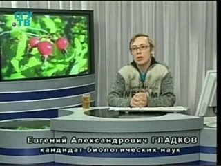 porn природные лекарства фитотерапия часть 3 урок 10 лекарственные растения обладающие противовоспалительными и hd