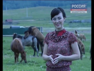 porn в башкирии лошади занялись сексом прямо во время телесъемок hd
