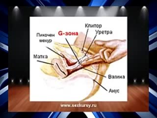 porn секрет точки g как найти и довести до оргазма точки джи hd