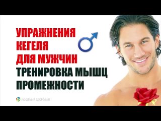 porn упражнения кегеля для мужчин тренироа мышц промежности hd