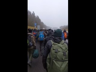 porn колонна мигрантов идет к белорусско польской границе 14 ноября 2021 hd
