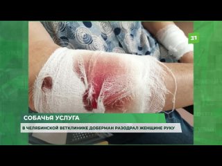 porn собачья услуга в челябинской ветклинике доберман разодрал женщине руку hd
