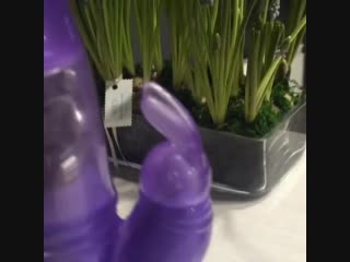 porn мультискоростной вибратор с клиторальным стимулятором в виде зайчика hd