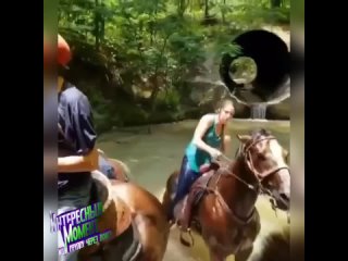 porn непоколебимый талант дар который невозможно потерять hd