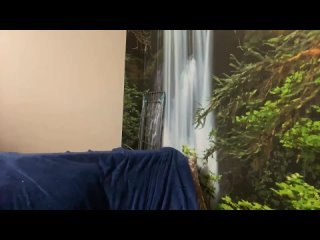 porn парень снимает а девушка выполняет задания periscope 18 hd