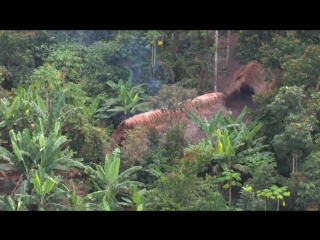 porn скрытные племена амазонской сельвы свидетельства с воздуха uncontacted amazon tribe first ever aerial footage hd