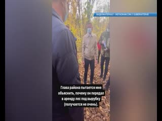 porn роман ставровойт отчитал льговских чиновников за передачу леса под вырубку hd