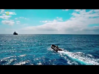 porn годы опасной жизни 2 сезон 2 серия приближается шторм years of living dangerously 2016 hd