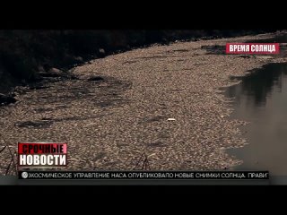 porn после тьмы официальный русский трейлер 2022 hd