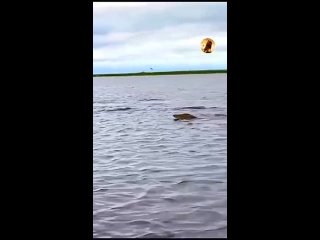 porn видео от шестьвосемь 68 верхняя пышма среднеуральск 360p mp4 hd