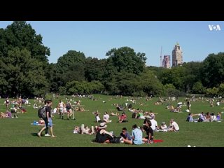 porn newньюйорк newyorkньюйорк как гарри встретил салли романтическая комедия 89 года который была невероятно смелой для hd