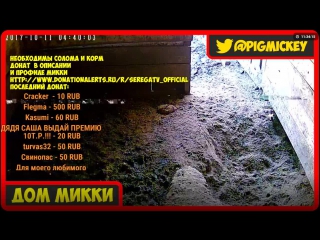 porn выполняем задания на топ хате стрим 247 прямая трансляция hd