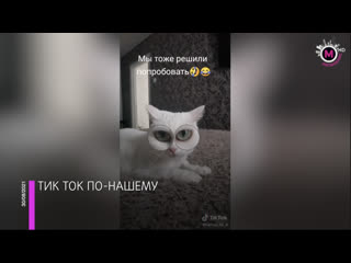 porn мегаполис нижневартовскии тик ток нижневартовск hd