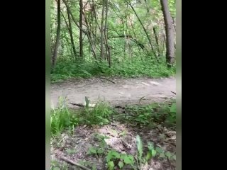 porn старый эксгибиционист попался в лесном массиве новосибирска hd
