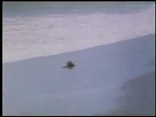 porn десять невест ten little maidens 1985 по мотивам а кристи десять негритят hd