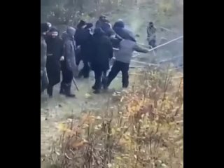 porn появилось свежее видео с границы беларуси и польши на котором нелегалы снова пытаются разрушить ограждение hd