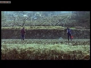 porn одинокая корова плачет на рассвете a lonely cow weeps at dawn hd