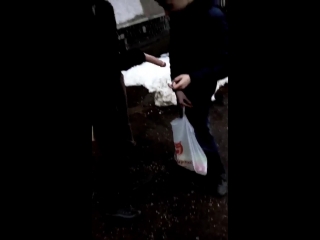 porn карлик девственник устал и захотел снять проститутку но она оказалась с подвохом hd