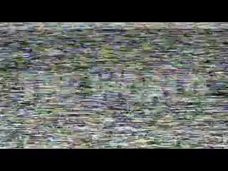porn партийное видио ж о па жирно ононистическая партия hd