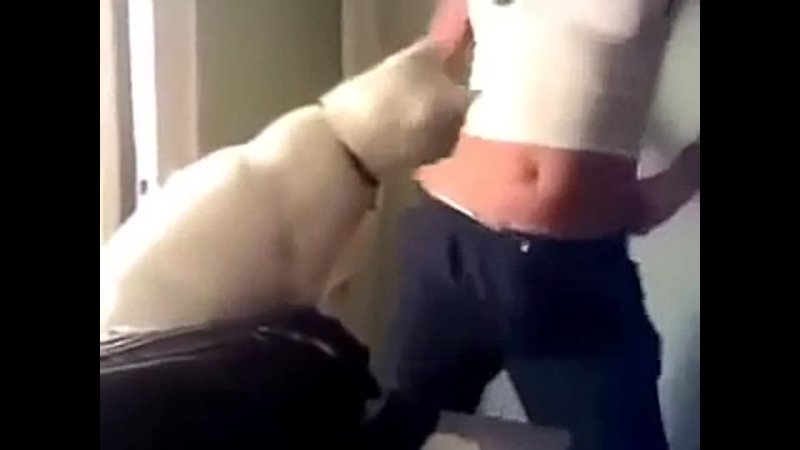 porn кот чуть не вставил хозяйке не порноне секс hd