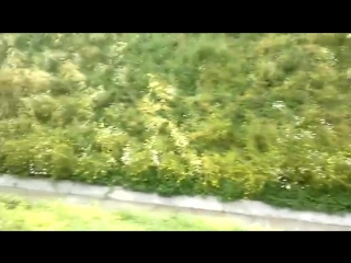 porn арбуз транс едим на камазе в красноярск затяжной подъем kz 08 регион hd