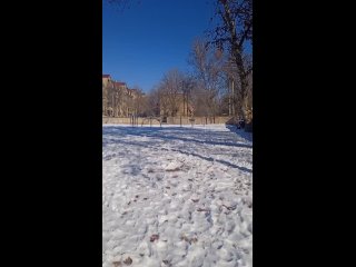 porn ташкент чиланзар квартал 10 школьная поляна hd