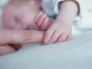 porn телегония или давайте займемся сексом с кем попало hd