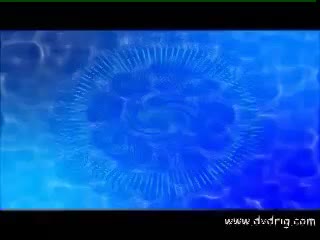 porn memphis monroe hd