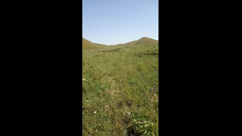 porn 锅盖头探探哥酒店约炮医科大护理系短发气质兼职妹服务不行就会躺着挨屌 vid 20190718 095853 mp4 hd