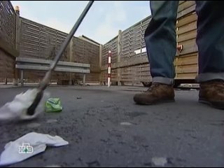 porn кёльн самый большой бордель в мире паша hd