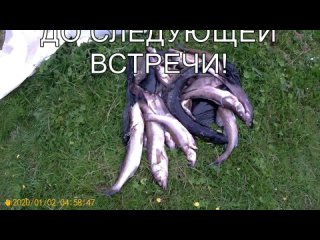porn приключение вальдемара онега вологодская обл hd