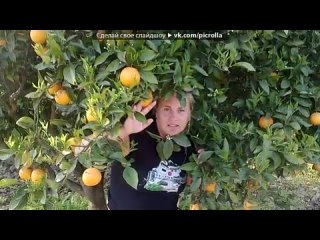 porn турция март апрель 2011 под музыку mika relax dj sveta picrolla hd