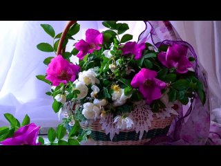 porn ирина под музыку песня про девушку ирину ах ирина ирочка прекрасней всех знаешь это сама на тебя смотрю и в душе hd