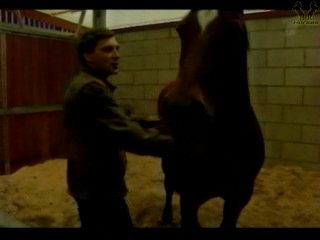 porn лошадиная энциклопедия александр невзоров 2004 серия 6 hd