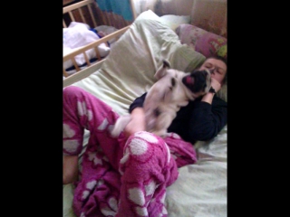 porn жмеринский зоофил смотреть до конца hd