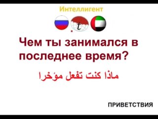 porn чем ты занимался в последнее время разговорник арабского языка арабский язык hd