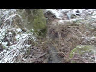 porn hdv 0149 hd